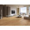 bc1 dbe1 l05 xxr d14180 u salon mp