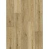 Oak Ohio texture