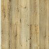 Oak Missisipi (2)