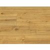 62538 Pro Nature Soledad