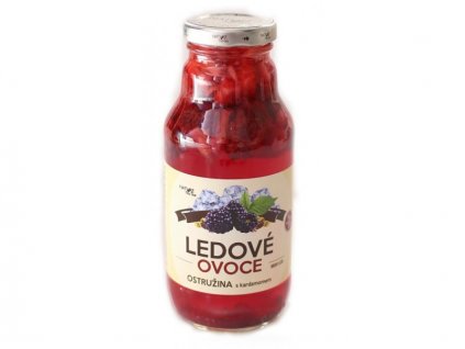 ledove ovoce ostr