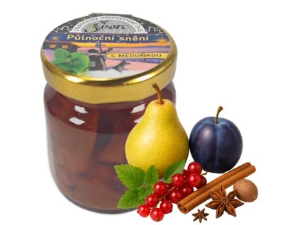 pulnocni sneni