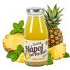 Smoothie Gabík - Ananas a Máta 0,2l