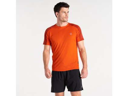 Pánské funkční triko Discernible II DMT682 cihlová | RGT02167_Y2B