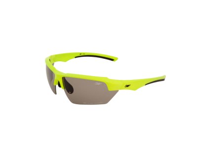 3Fvision Version 1704 | 3FV00448
