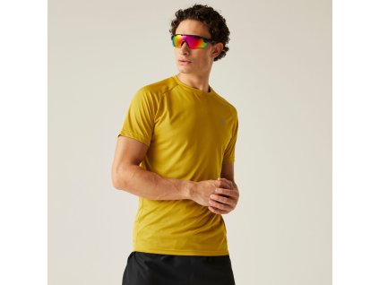 Pánské funkční triko Accelerate Tee DMT722 Gold Flake | RGT01924_ZSW