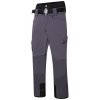 Pánské lyžařské kalhoty ABSOLUTE II DMW485 šedá/černá | RGT02159_7CA