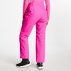 Dámské lyžařské kalhoty Rove DWW468 růžová | RGT01147_07Z