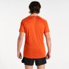 Lehké pánské funkční triko Accelerate Tee DMT722 tm. cihlová | RGT02175_21K