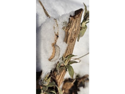 "Světlo obnovy" - náhrdelník s křišťálem