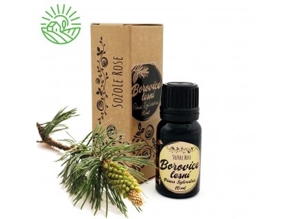 Borovice lesni SoZoLe Rose 10ml
