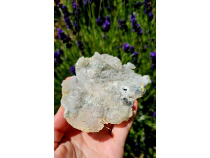 Vzácný ametyst růže