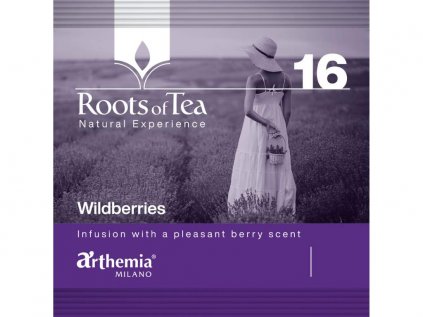 16 – Arthemia Wildberries