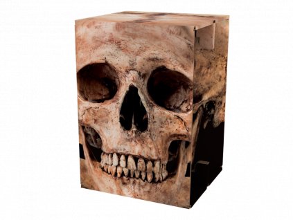 CC45 Hamlet Skull Front1