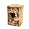 Carton Cajon Teddy 3