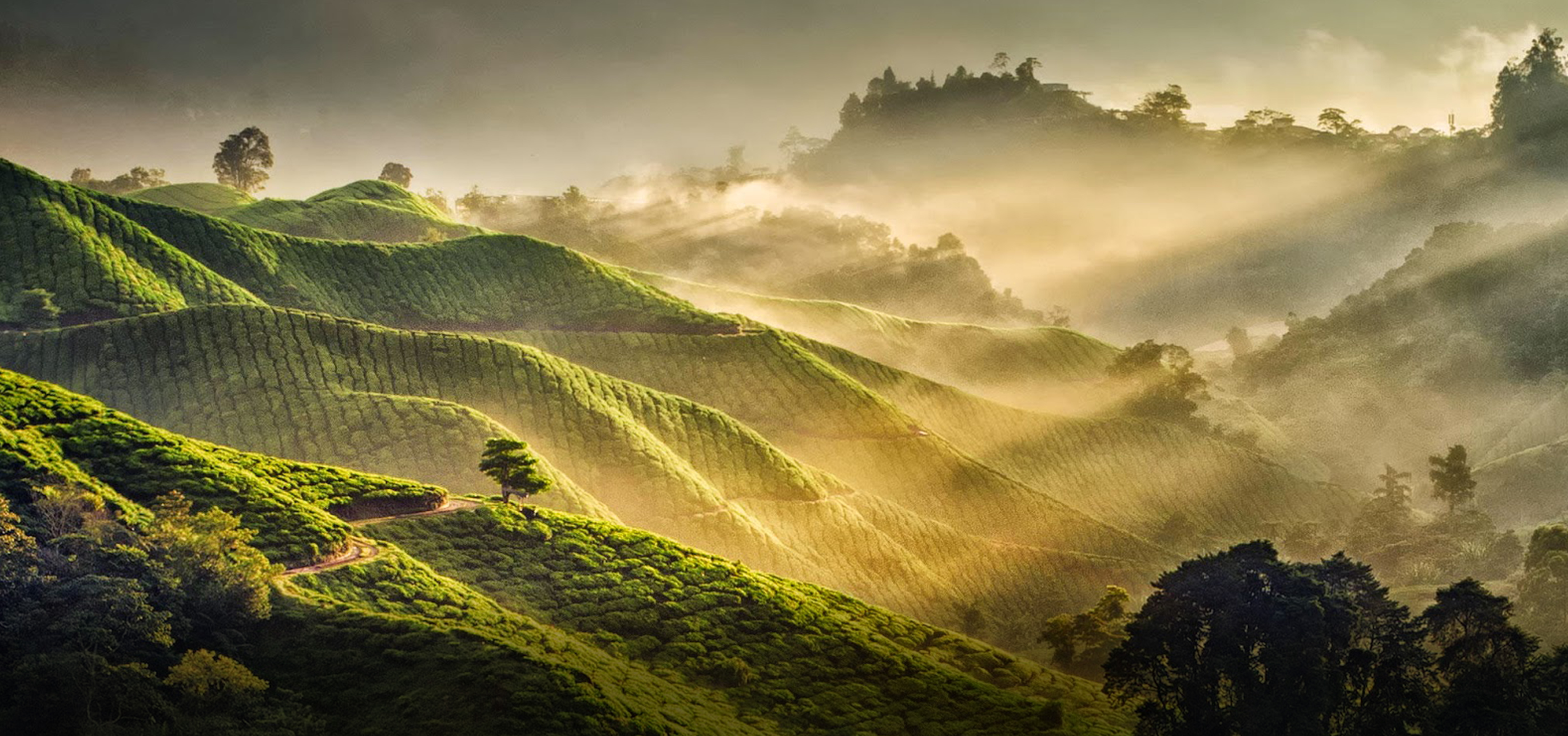 PŘIROZENĚ OPRAVDOVÉ.