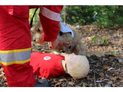 Doškolovací kurz ZZA - 22.5.2026