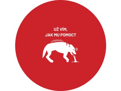 Placka - Už vím, jak mu pomoct