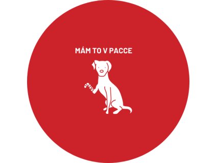 Placka - Mám to v pacce