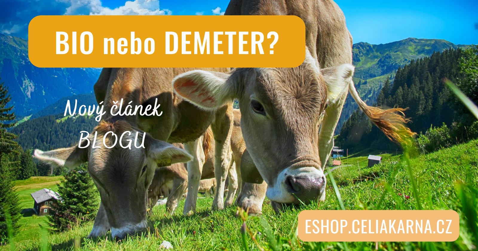 DEMETER - co to je?