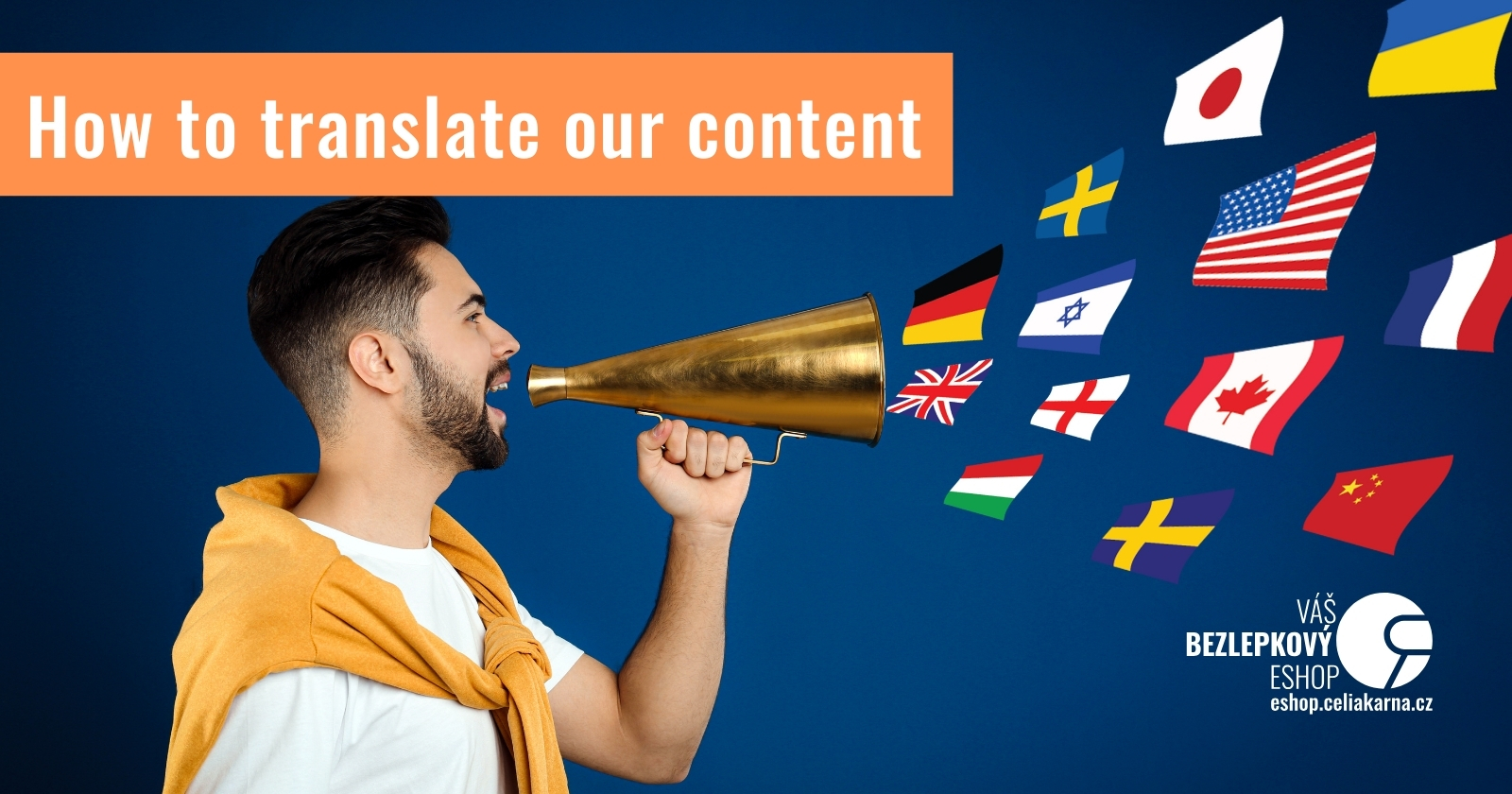 How to translate our content