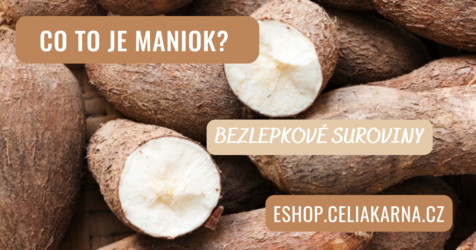Maniok - co to je?