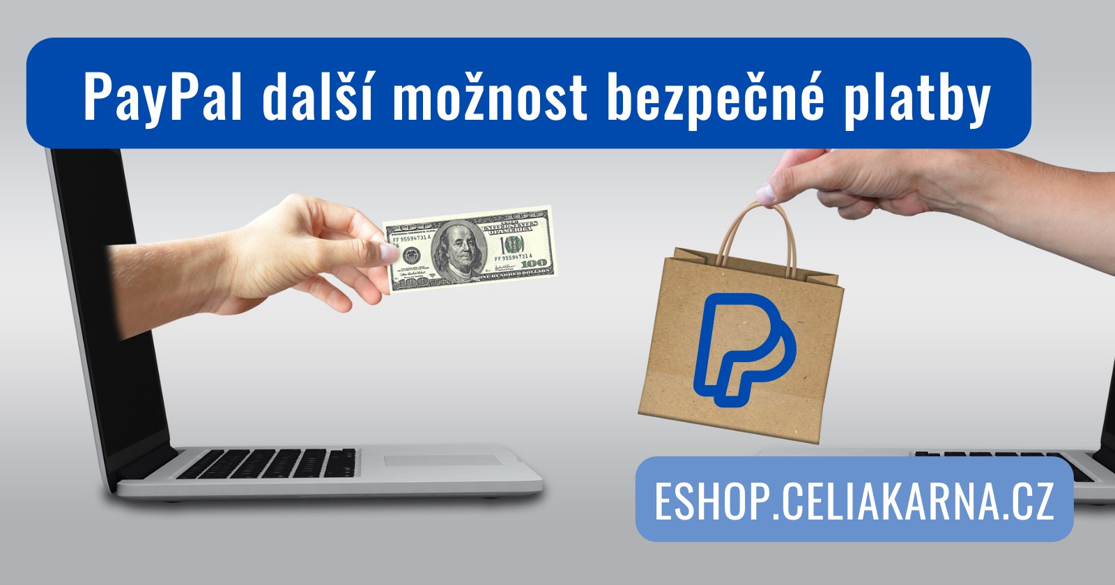 PayPal - další bezpečná možnost placení