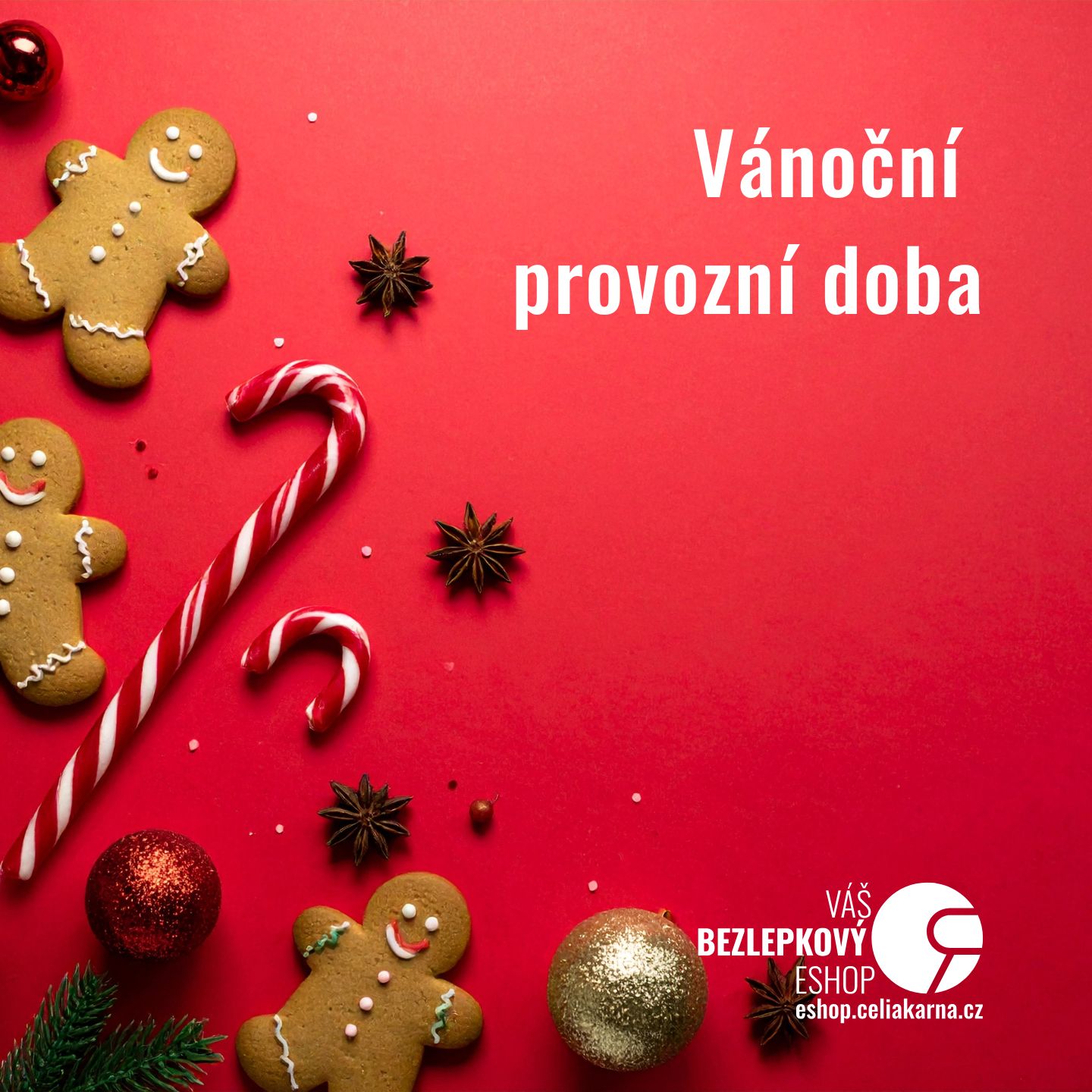 🎄 Vánoční provozní doba