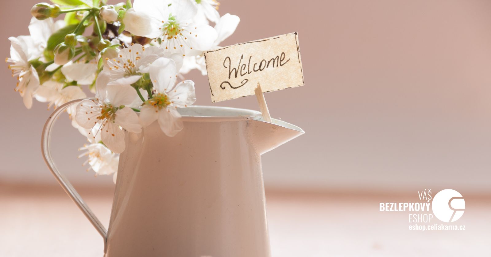 🧡 Vítejte v celiakárně