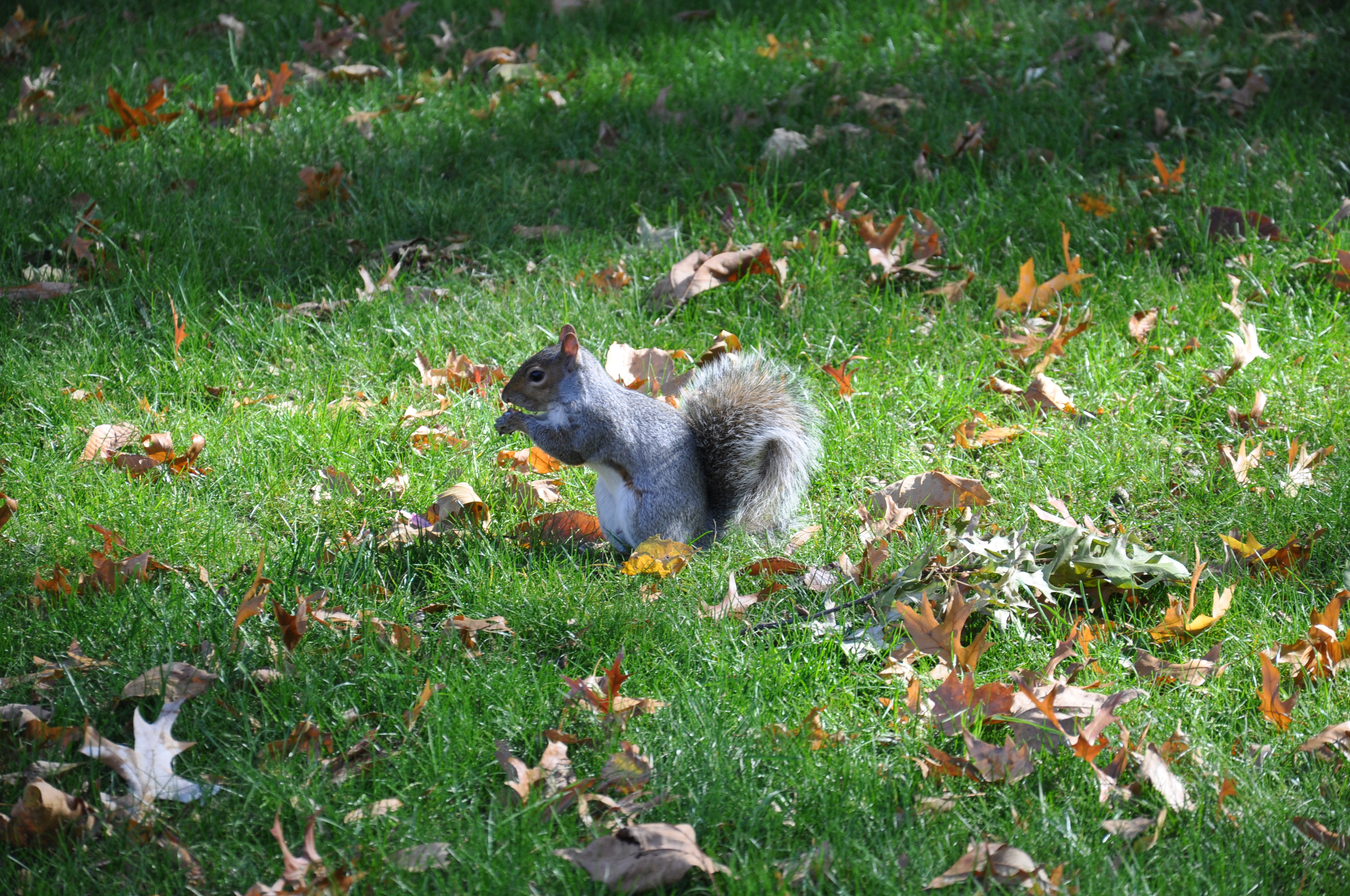 DSC_0141