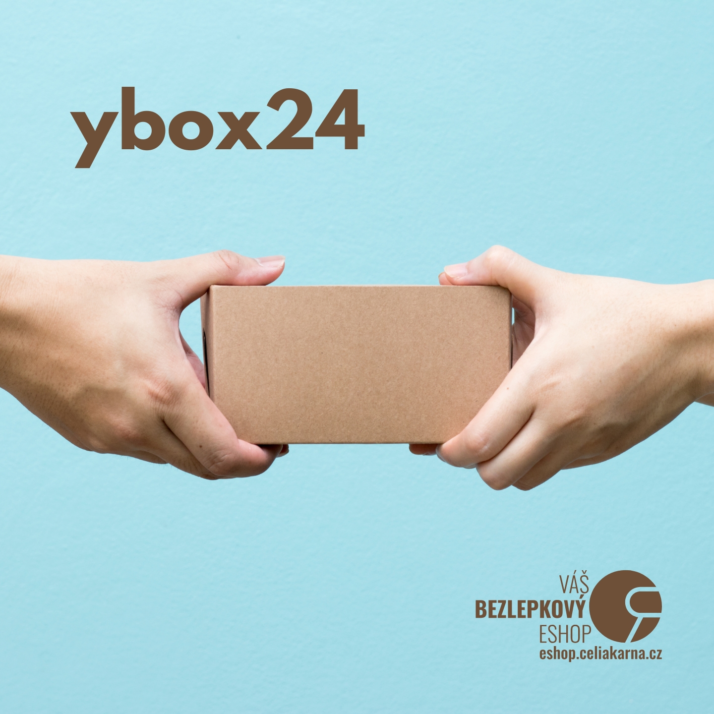 ybox24