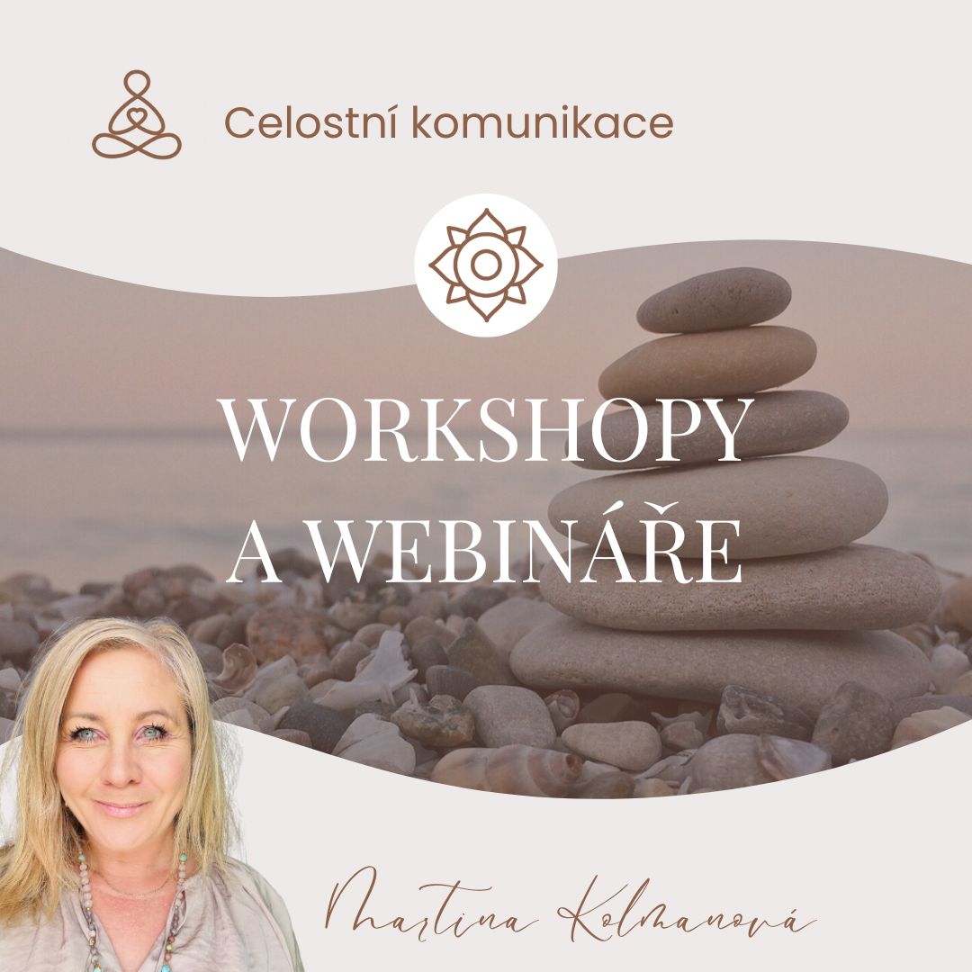 workshopy CK