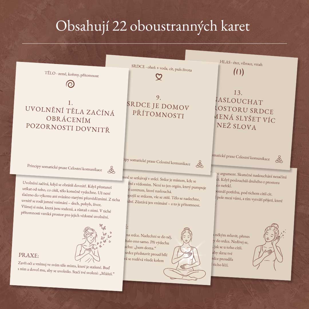 cestamyslitelaasrdce3