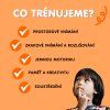 Tyčky šablony - PDF