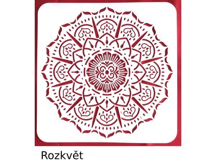 rozkvet
