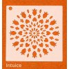 Intuice