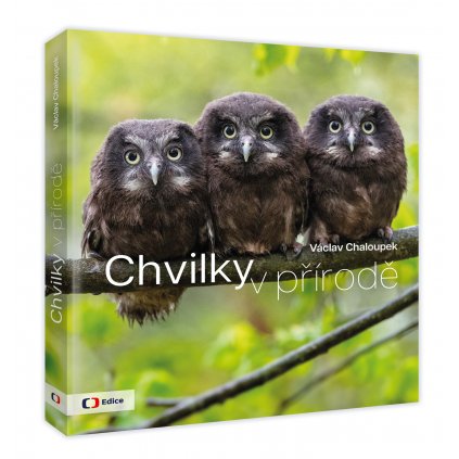 CHVILKY 3D