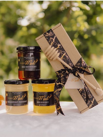 Návrh bez názvu (28)