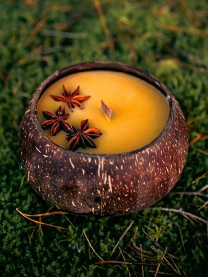 Návrh bez názvu (31)