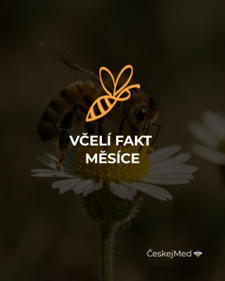 Každá sklenice medu je výsledkem milionů návštěv květů a tisíců hodin práce celého včelstva čítajíc desetitisíce "hlav".....