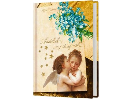 andelicku muj straznicku