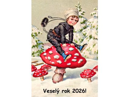 0 Kalendářík č.2 2026