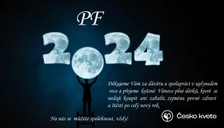 PF 2024