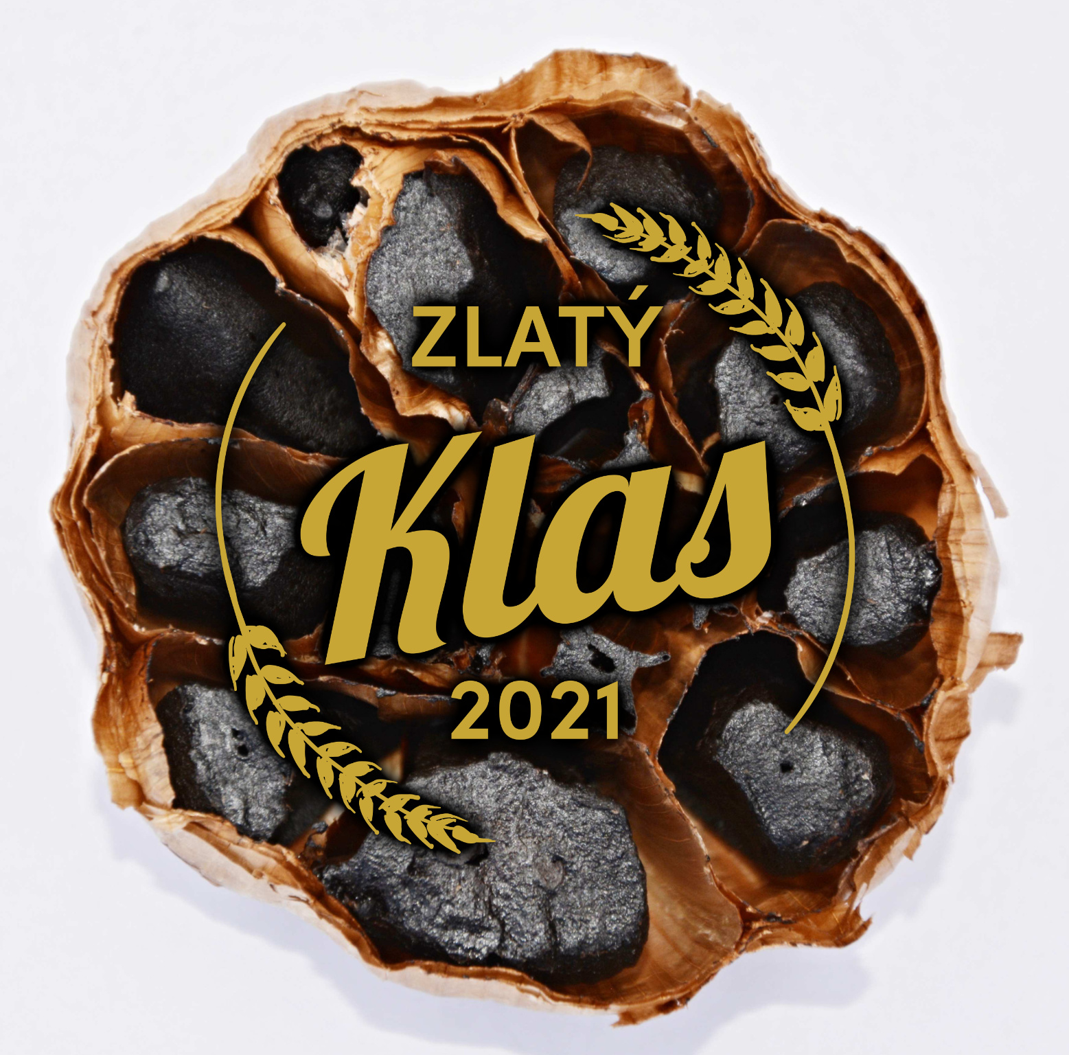 Ocenění Zlatý Klas