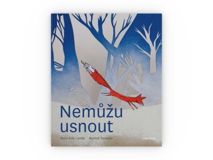 nemuzu usnout obalka 3d 2500x2500