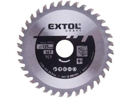 kotouc pilovy s sk platky o 125x2 2x22 2mm 36t img 19103 fd 99