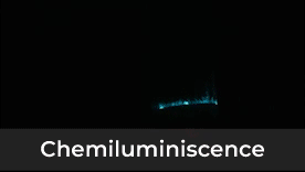 Chemiluminiscence