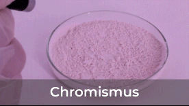 Chromismus