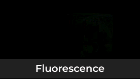 Fluorescence