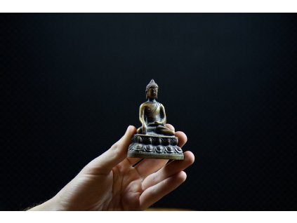 Buddha 小奇迹, 19. století - Prodáno